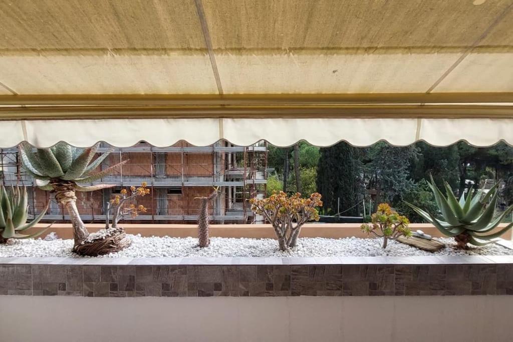 Ampio Monolocale Con Terrazzo - A 2 Passi Dal Mare Apartment Latte Luaran gambar